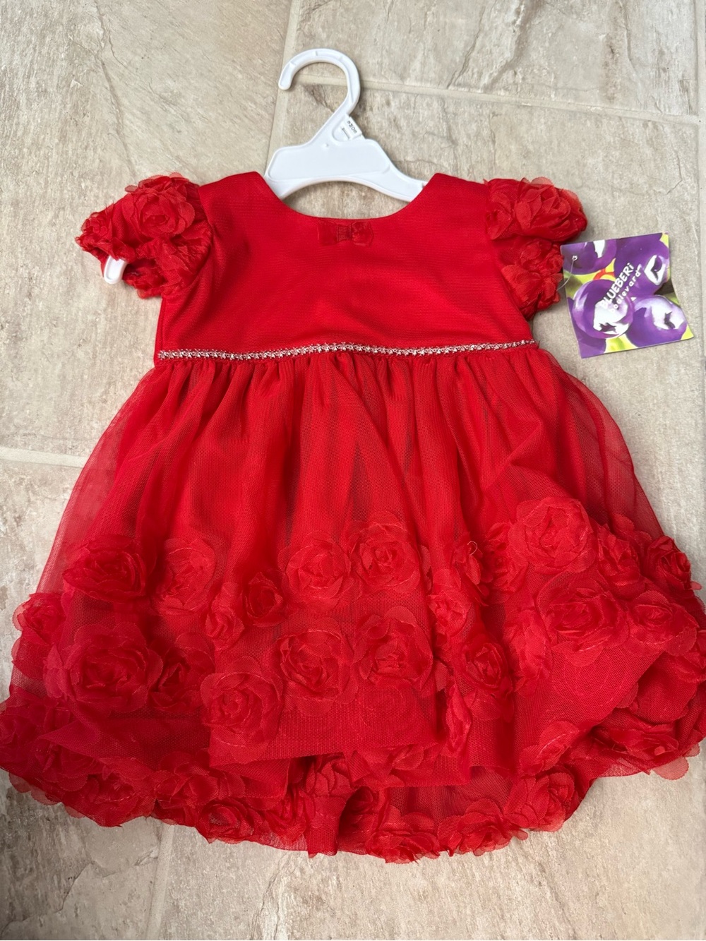 Blueberi Boulevard Red Floral Tulle Party Dress for Baby